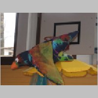 postfdtiger0023.JPG